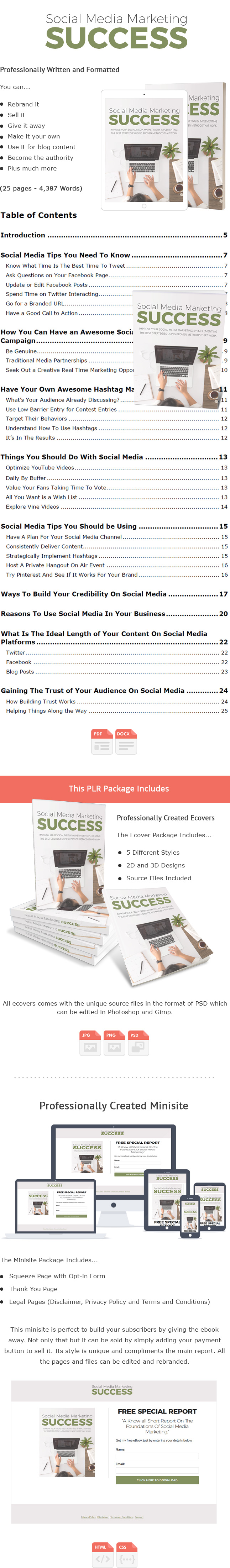 Social Media Marketing Success